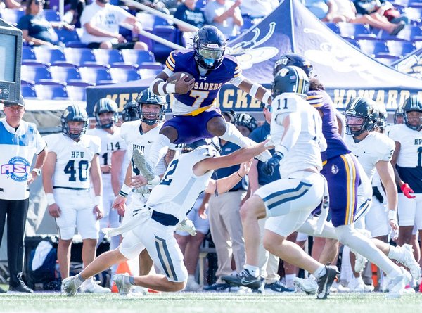 Top Pet Products and Their Lasting Benefits: A Comprehensive Guide